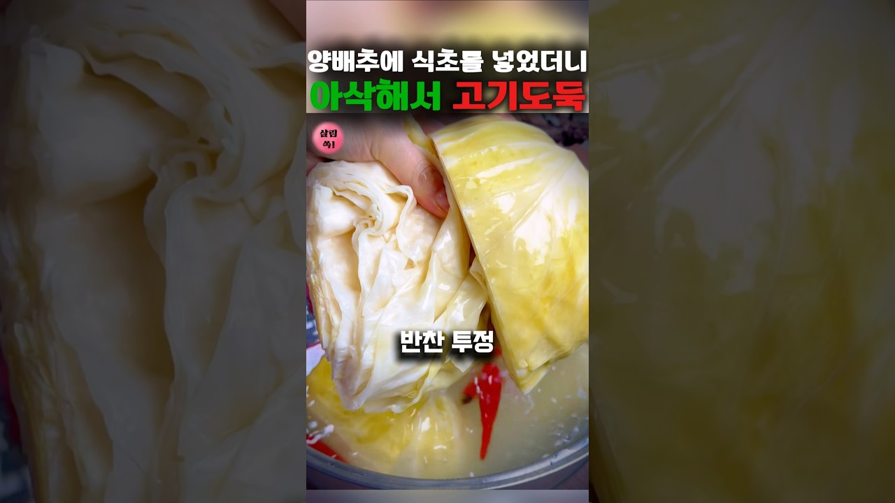 [별미반찬] 양배추 초절임, 아삭하고 새콤한 밥도둑