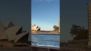 Lookout in Sydney City #city #travel #sydney #cruiseship #vlog #sydneyharbourbridge #cruise