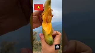 Fruit farming in Vietnam || advance fruit farming || famous fruit in Vietnam