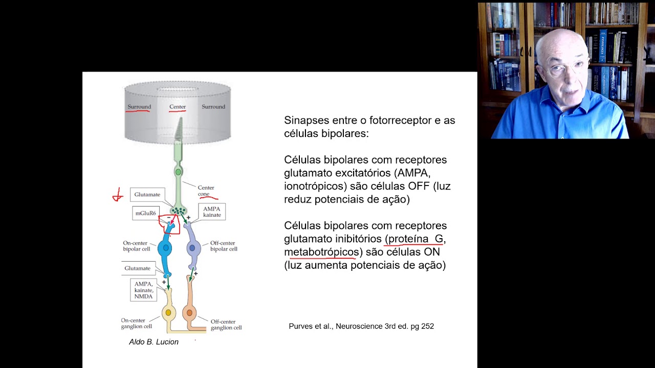 Visão campos ON e OFF v2