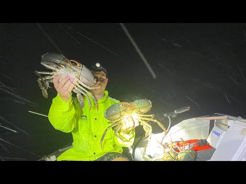 Night Crabbing Mission / BIG MUD CRABS