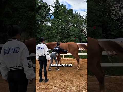 This Woman Tries to Train a Horse, Ends Up Unexpected! #interestingthings