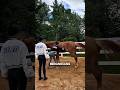 This Woman Tries To Train A Horse Ends Up Unexpected Interestingthings