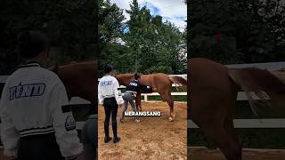 Download lagu Wanita Ini Mencoba Melatih Kuda, Endingnya di Luar Dugaan! #halmenarik mp3 Download lagu Wanita Ini Mencoba Melatih Kuda, Endingnya di Luar Dugaan! #halmenarik mp3