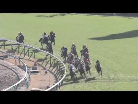 Hishi Iguazu (JPN) wins race 7 at Nakayama 12/15/2018