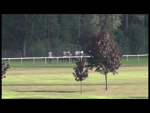 KV, 18. 8. 2019, 7. dostih - Cena společnosti HOLOUBEK PROTECT