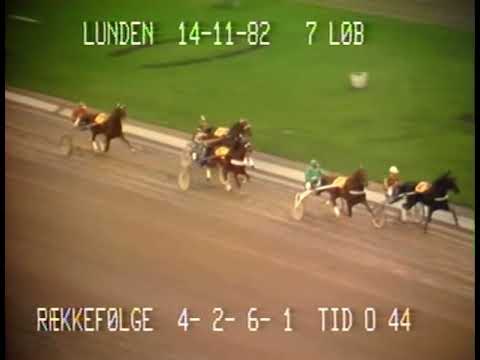 Dansk Opdrætningsløb 1982 - Gunga