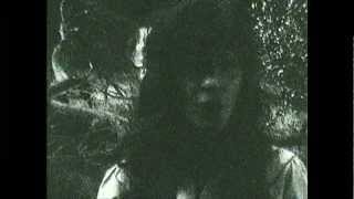 She &amp; Him - Thieves