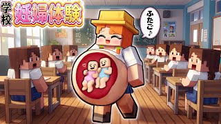 【妊婦のバーチャル体験】もしも小学生が双子のママになったらどんな学校生活？(#ぴこみんず)マイクラで赤ちゃん体験を学ぼう！