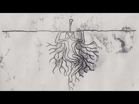 Video thumbnail for The Feet Are The Link