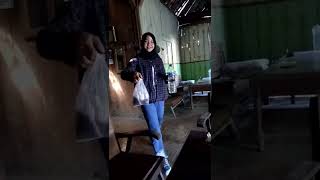 Download lagu MAMPIR KE RUMAH PACAR | HALU STORY #shorts  #storyhalu #storyig #storywa mp3