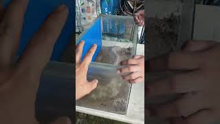Paglilipat at Paglilinis ng mga Aquarium ( PART 1 )