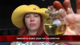 Burdur’da ölmez çiçek yüz güldürüyor