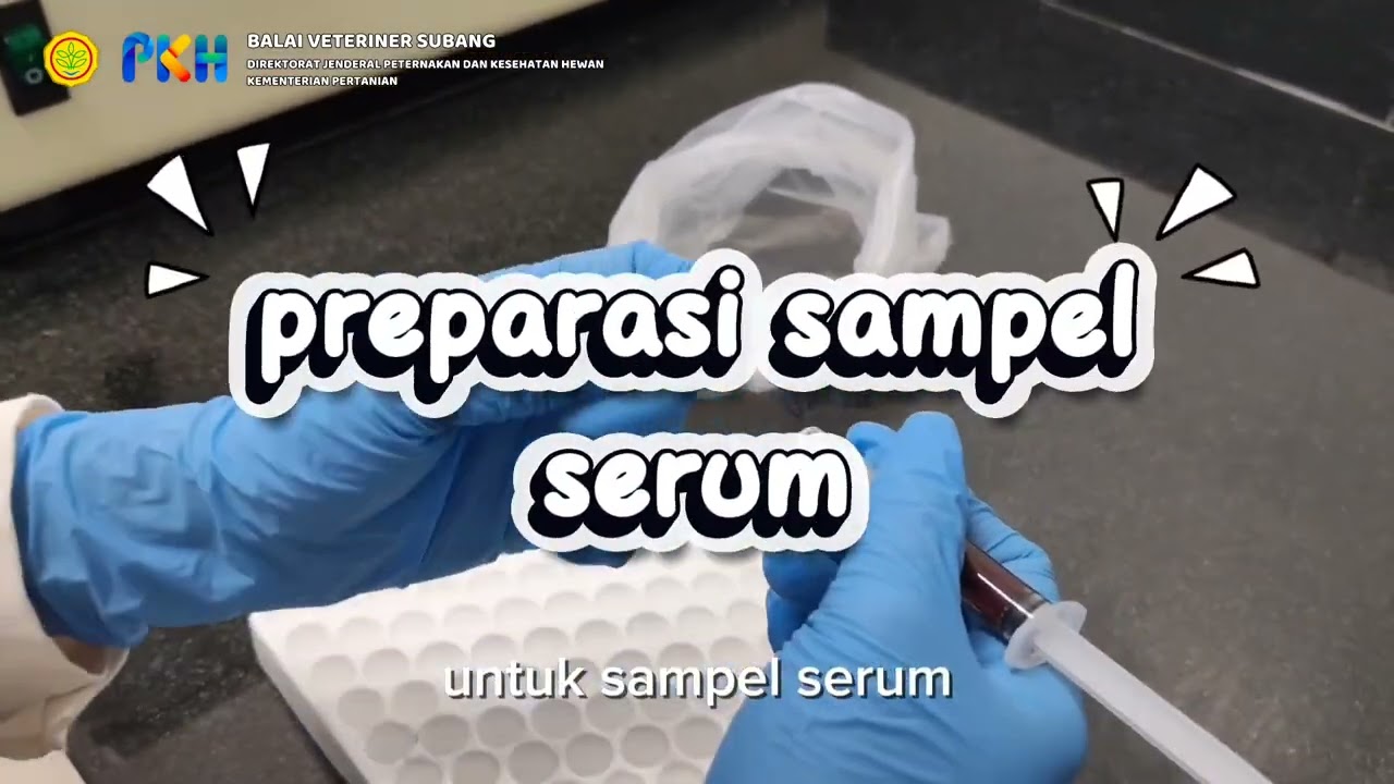 Pengambilan Sampel Anjing/Kucing