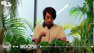 Moopie DJ set