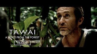 TAWAI - A voice from the forest | Trailer (Theatrical) | A film from Bruce Parry | In cinemas Now
