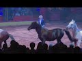 Jenny Vidbel Highlight In Noel By Shipshewana Majestic