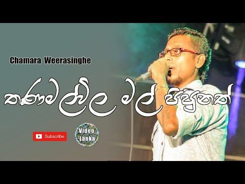 Thanamal Vila Mal Pipunath | Thanamal Vila Mal | Sinhala Songs | Chamara Weerasinghe