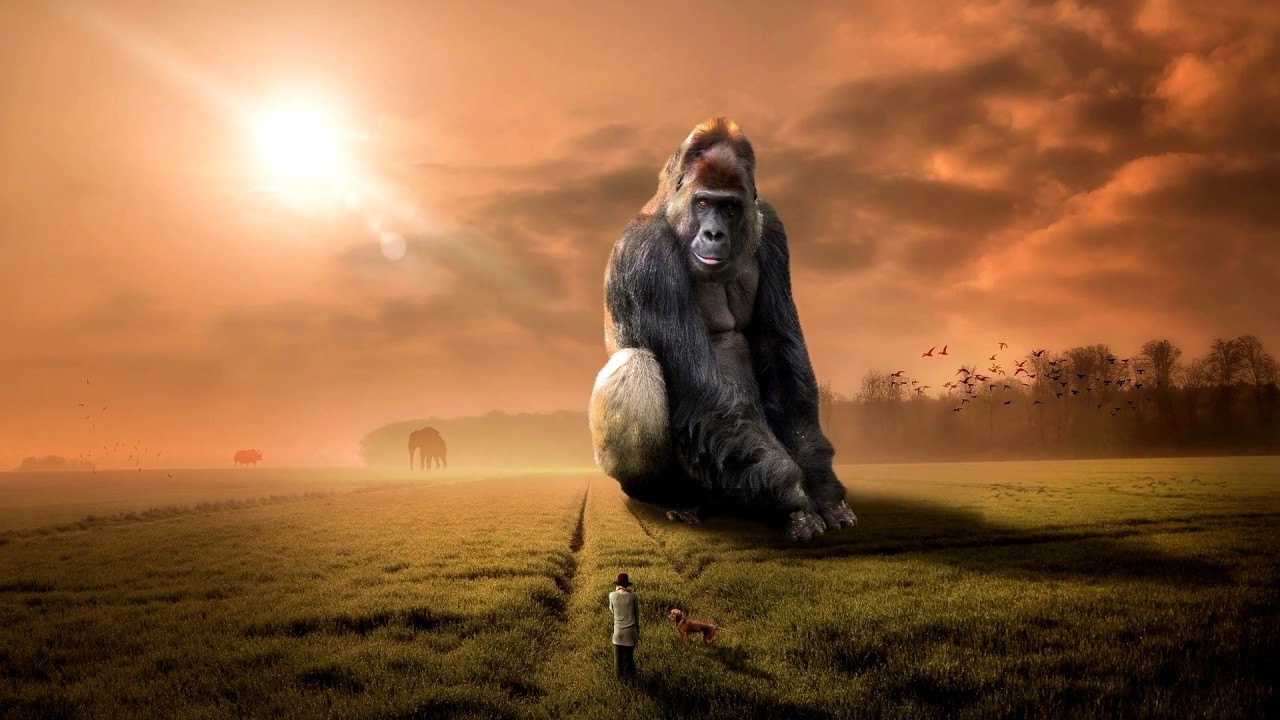 Qué Significa Soñar Con Gorila