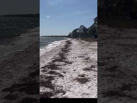 St. Teresa Beach, Florida