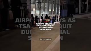 Airport delays as TSA agents quit due to partial shutdown