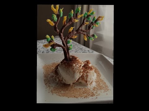 Chocolate tree.