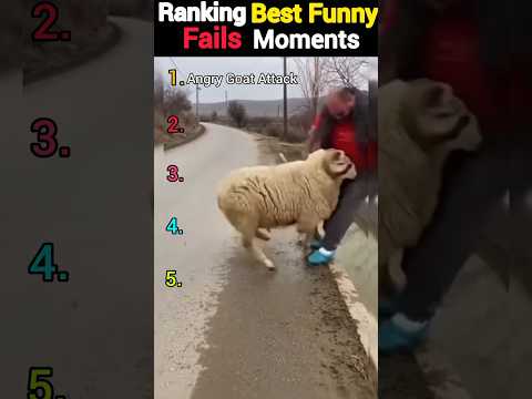 Instant Karma Gone Wrong! 🤣 Best Fails 2026 (Part 19) #shorts #funnyfails #failarmy #usafunny