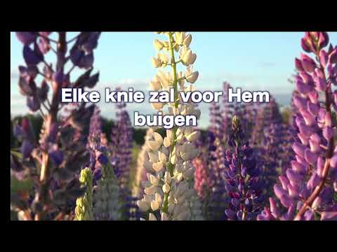 Opwekking 796 De Leeuw en het Lam 1B