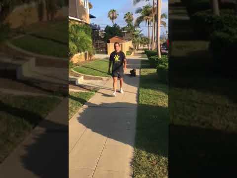 Duke Dog Training / Coaching video.