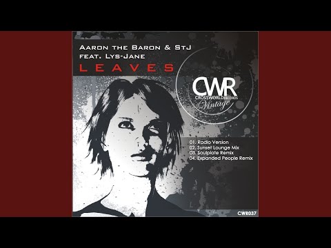 download lagu mp3 mp4 Aaron The Baron Leaves Sunset Lounge Remix, download mp3 Aaron The Baron Leaves Sunset Lounge Remix free downloadn, video klip Aaron The Baron Leaves Sunset Lounge Remix