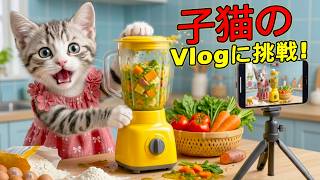 【感動】ネコにゃん、料理動画で何度も大失敗…夢を諦めずYouTube金の盾を手にした感動の物語😭🐱🏆✨