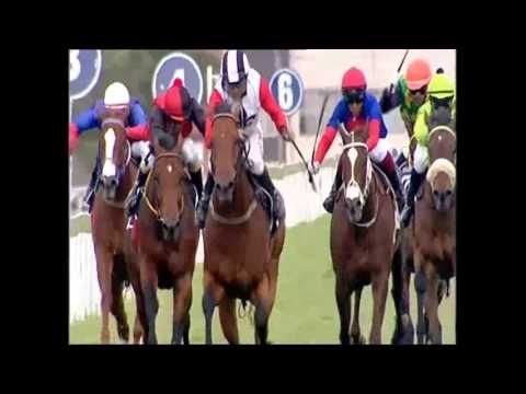 Champagne Haze CTS Emperors Palace RTR Cup 31 October 2015