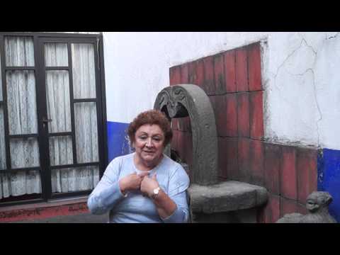 Física y biomateriales por la Dra. Cristina Piña Barba