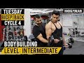 Killer Bicep & Back Split Workout For MASS! Cycle 4 (Hindi / Punjabi)