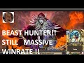PLAY BEAST HUNTER While We Wait For DEATHKNIGHT