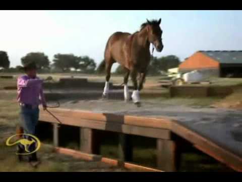 Clinton Anderson RFDTV 2012