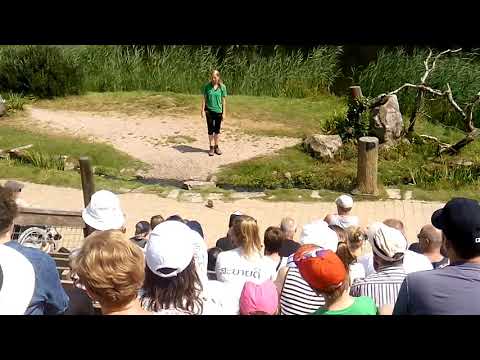 Шоу з птахами у парку AviFauna