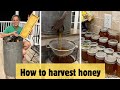 Beekeeping 101 HOW TO HARVEST HONEY Every Step Explained For Beginner Beekeepers