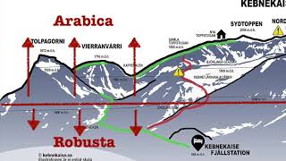 Kaffeodling på Kebnekaise  Jag ringer Länsstyrelsen i norbotten  8 juli 2024