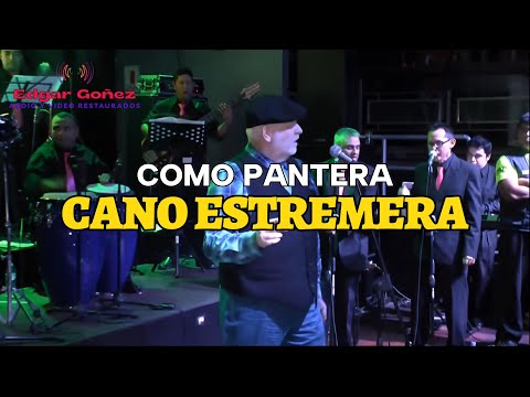 Como pantera - Cano Estremera