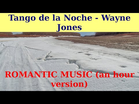 LOVE MUSIC. || TANGO de la NOCHE by Wayne Jones. || An hour version.