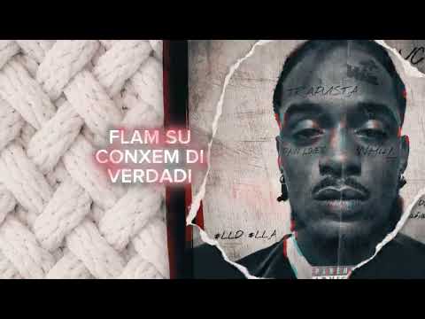 REDNAV -  3. PERDEU (Trapvista)