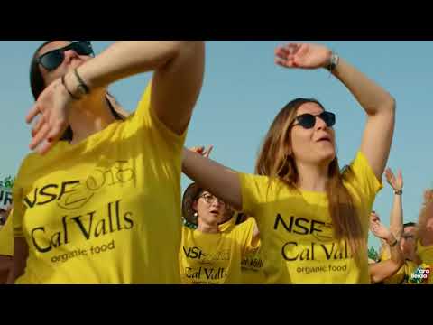 No Surrender Festival 2018  Badlands   Bruce Springsteen tribute Official Video