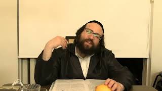 חיזוק יומי רבי יואל רוטה שליט"א - ה' בראשית תשפ"ד - כוחי ועוצם ידי הייבט זיך נישט אן אין מדינת ישראל