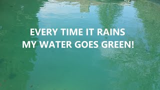 Why Does My Water Turn Green When It Rains?