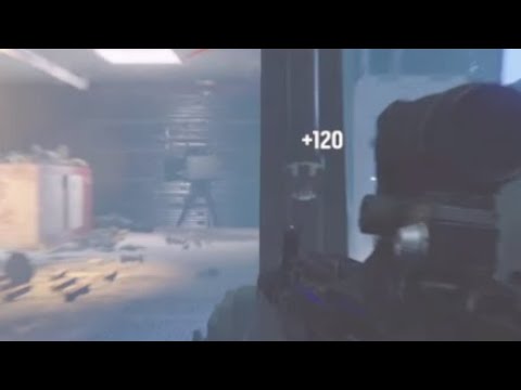 Shield Glitch in Siege (Para Bellum, after patch)