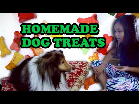 Zakia & Tita: HOMEMADE DOG TREATS