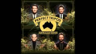 Oh Well That's What You Get For Falling in Love with a Cowboy - Perfect Tripod