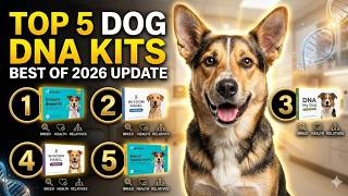 Top 5 Best Dog DNA Test Kits 2026 | Embark, Wisdom Panel & M