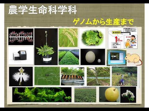 農学生命科学科　紹介動画